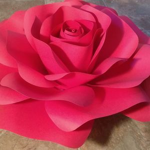 Meet your Posher, Liliana